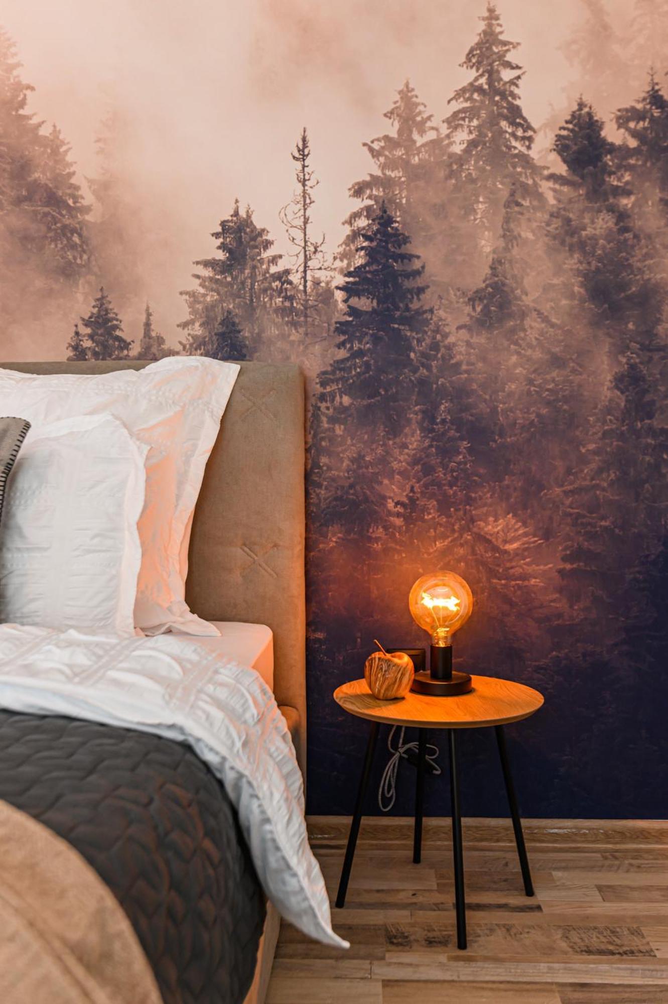 Larabelle Home Coresi 브라쇼브 외부 사진